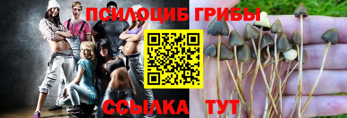 Галлюциногенные грибы Psilocybine cubensis  Вход с VPN  Геленджик  Псилоцибиновые грибы Magic Shrooms 